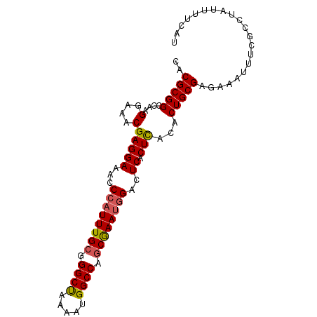 secondary structure