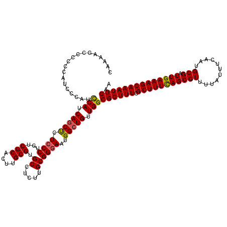 secondary structure