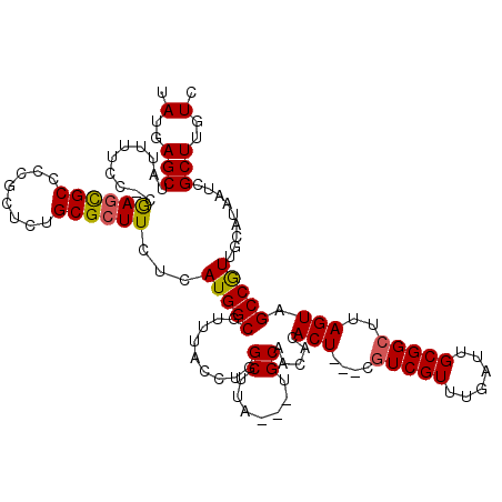 secondary structure