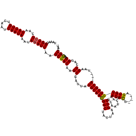 secondary structure
