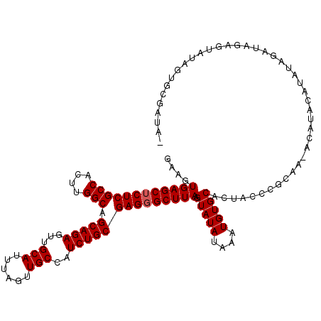 secondary structure