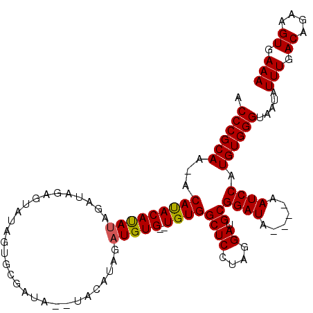 secondary structure