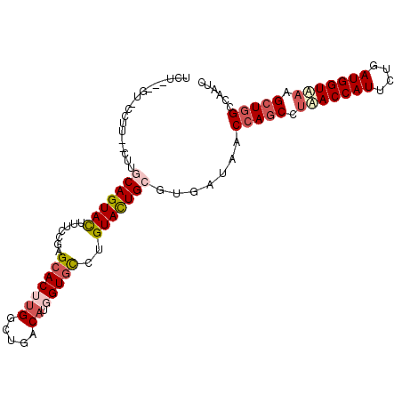 secondary structure