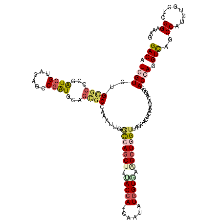 secondary structure