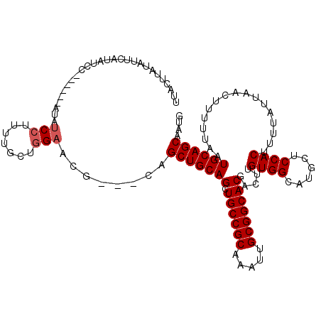 secondary structure