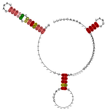 secondary structure