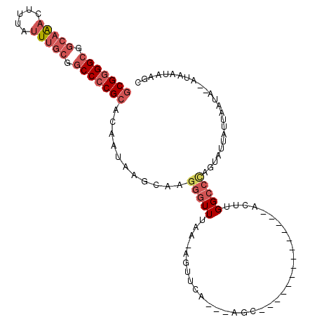 secondary structure