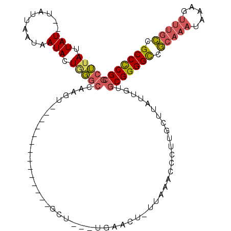 secondary structure