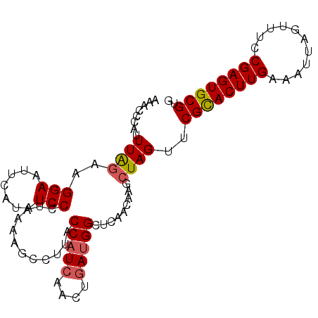 secondary structure