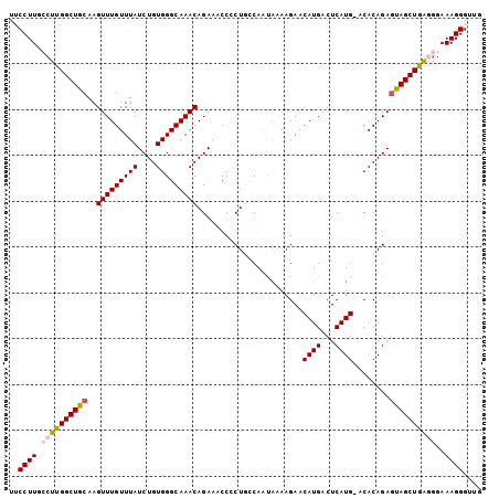 dotplot