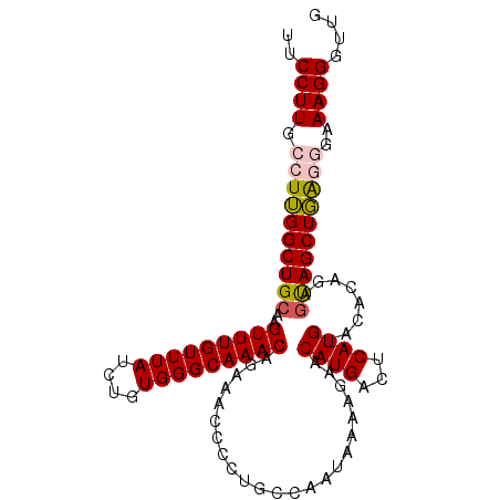 secondary structure