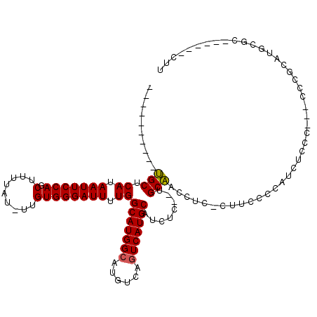 secondary structure
