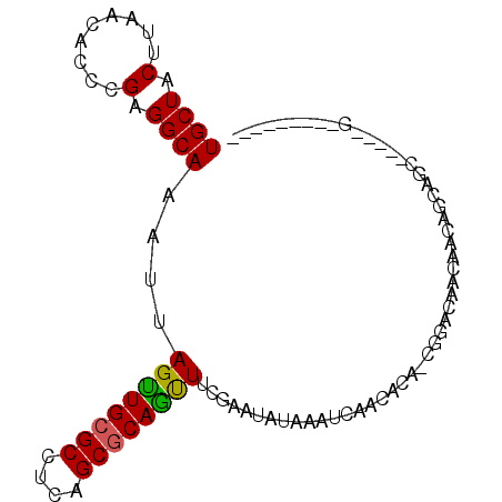secondary structure