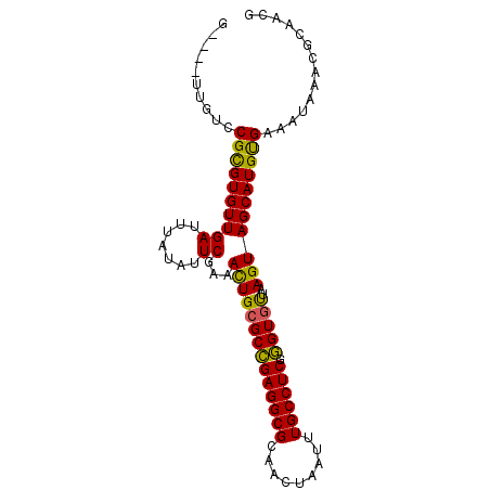 secondary structure