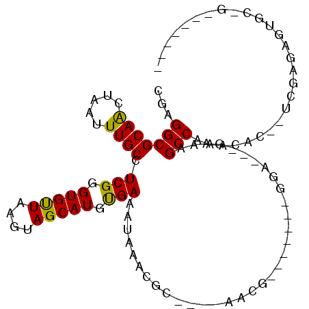 secondary structure