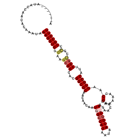 secondary structure