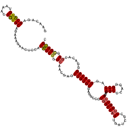 secondary structure