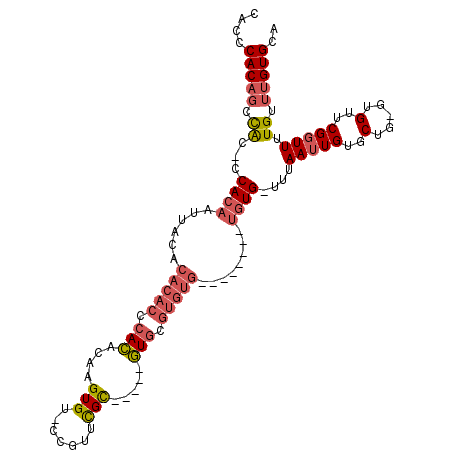 secondary structure