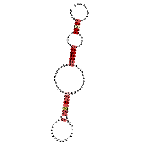 secondary structure