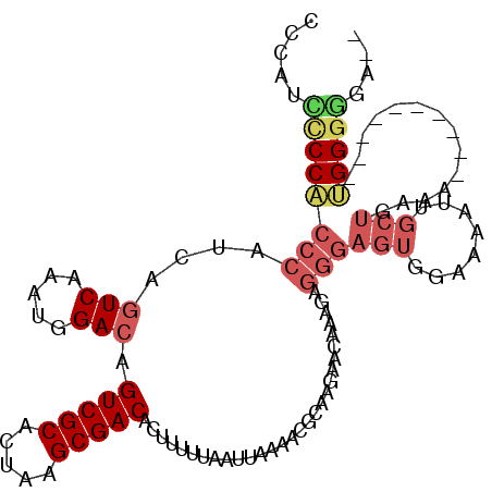 secondary structure