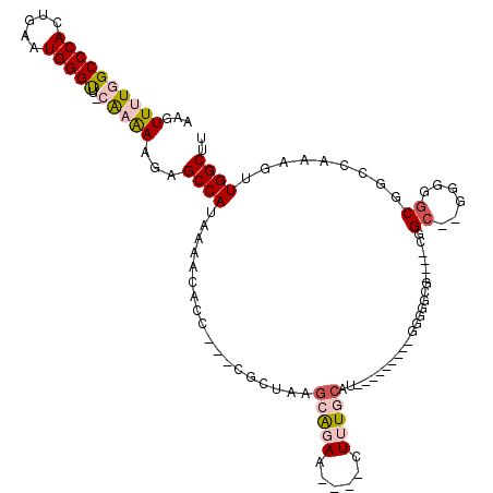 secondary structure