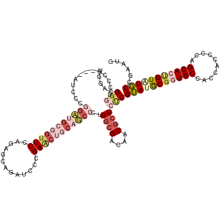 secondary structure