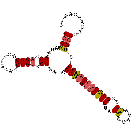 secondary structure