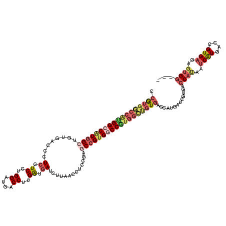 secondary structure