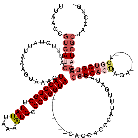 secondary structure