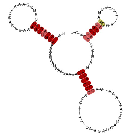 secondary structure