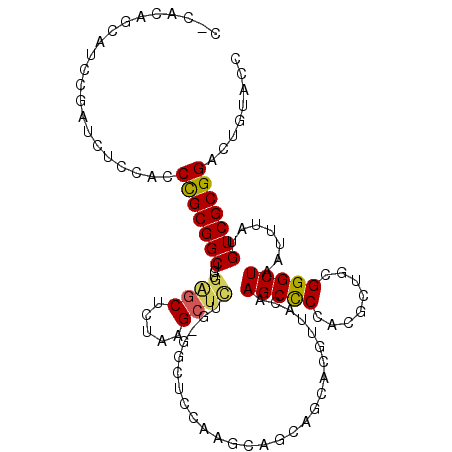 secondary structure