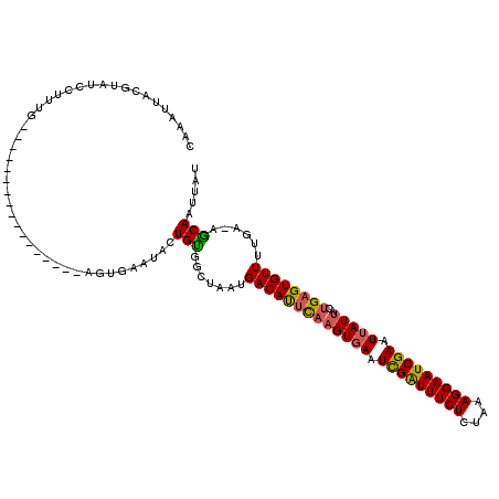 secondary structure