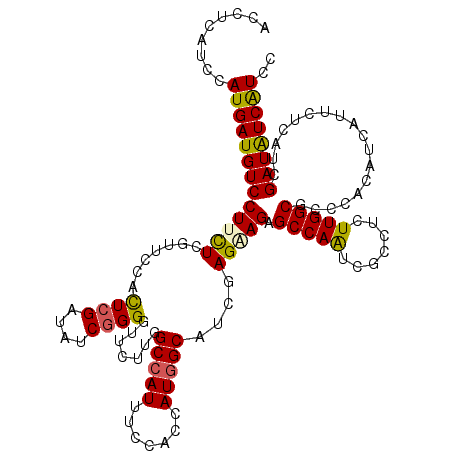 secondary structure