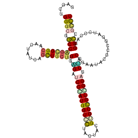 secondary structure