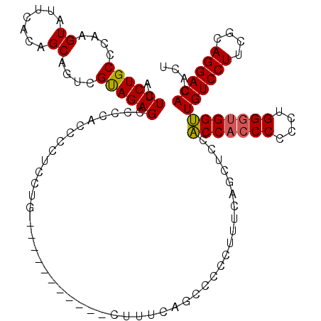 secondary structure