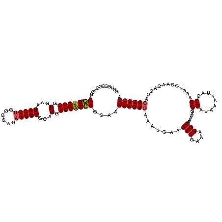 secondary structure