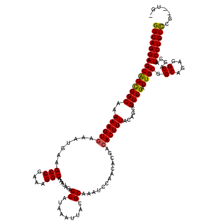 secondary structure