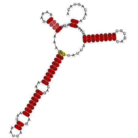 secondary structure