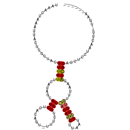 secondary structure