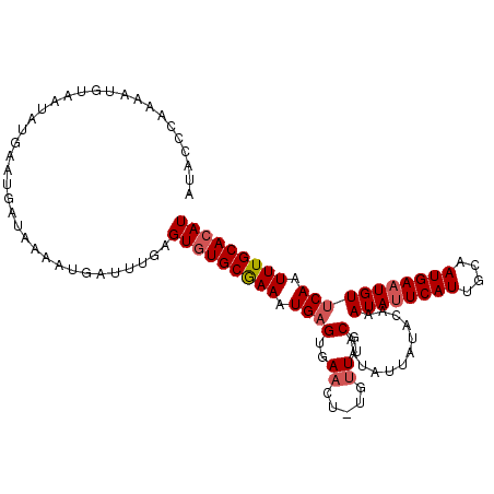 secondary structure