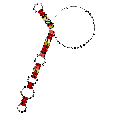 secondary structure