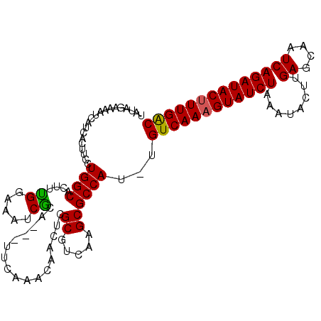 secondary structure