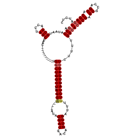 secondary structure