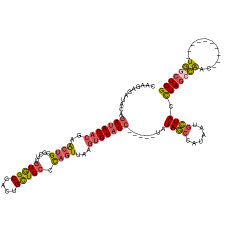 secondary structure