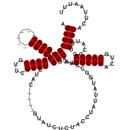 secondary structure