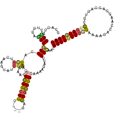 secondary structure