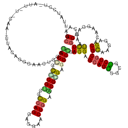 secondary structure