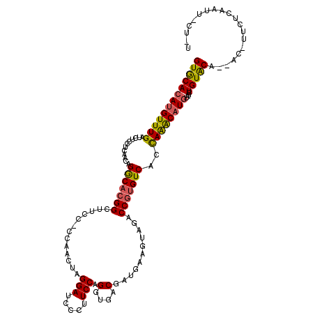 secondary structure