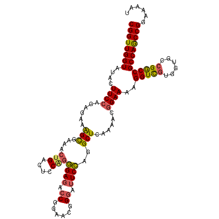 secondary structure