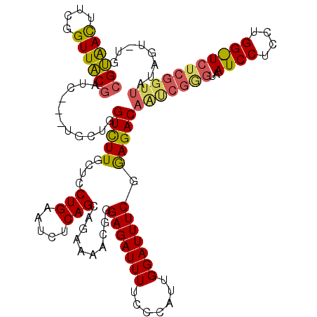 secondary structure